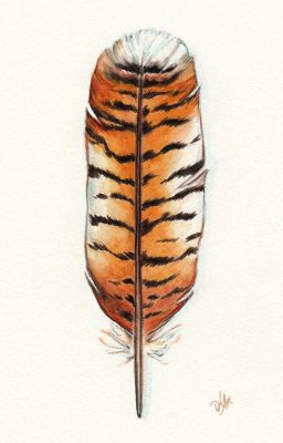 Tiger Feathers