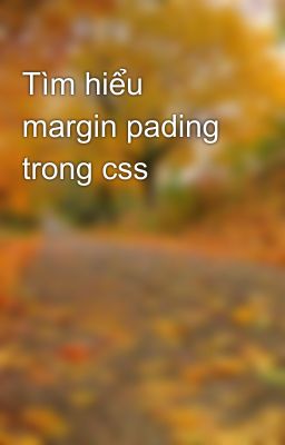 Tìm hiểu margin pading trong css