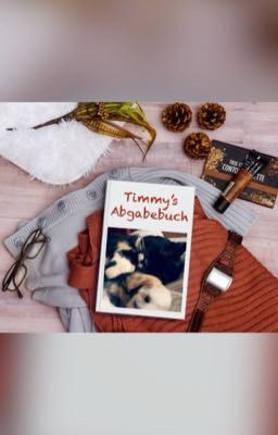 Timmy's Abgabebuch 