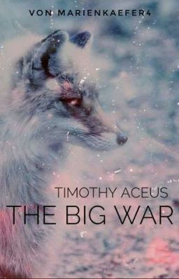 Timothy Aceus: THE BIG WAR 