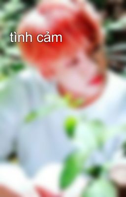 tình cảm