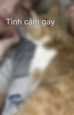 Tình cảm gay