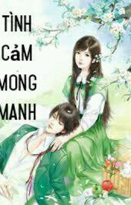 Tình cảm mong manh 