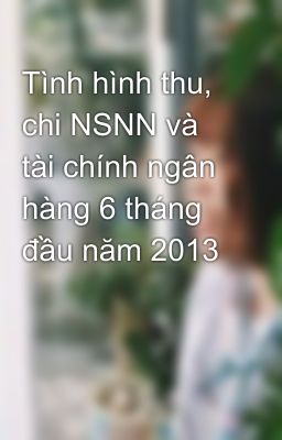 Tình hình thu, chi NSNN và tài chính ngân hàng 6 tháng đầu năm 2013