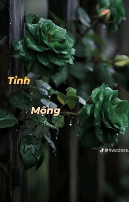 Tỉnh Mộng 