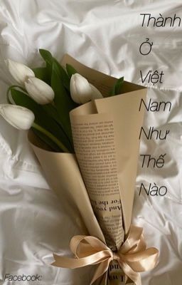 Tỉnh Thành Ở Việt Nam Như Thế Nào