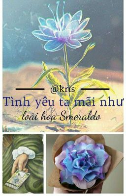 Tình Yêu Ta Mãi Như Loài Hoa Smeraldo