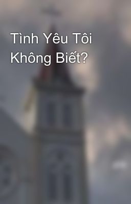 Tình Yêu Tôi Không Biết? 