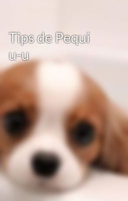 Tips de Pequi u-u