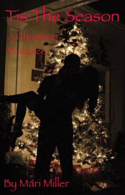 Tis the Season: A Christmas Romance