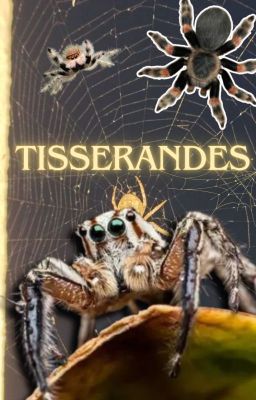 TISSERANDES