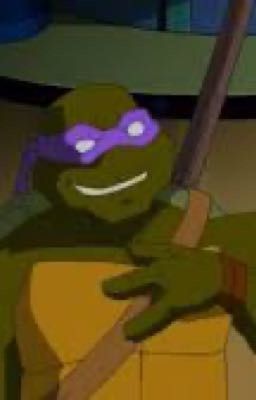 Tmnt 2003 Donatello x Amber