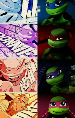 TMNT  (Chicos y Chicas)