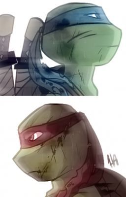 TMNT RaphaelXLeonardo~Nothing ever stays~