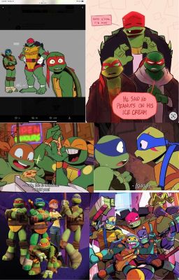 Tmnt rise au: A Daydream