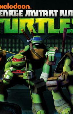 Tmnt rp (Second Rp If Your In My Other One You Cant Be In This One)