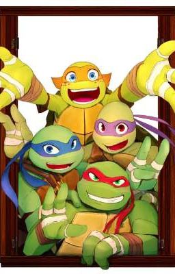 TMNT x reader ~boyfriend scenarios~