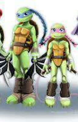 TMNT X TMNT GIRLS 