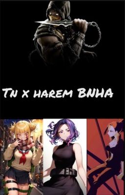 Tn (villano) x harem BNHA