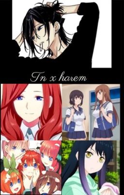 Tn x harem (pero con un chingo de waifus)