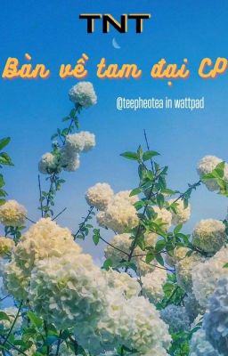 【TNT】Bàn về tam đại cp