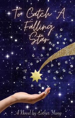 To Catch A Falling Star