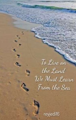 To Live on the Land We Must Learn from the Sea