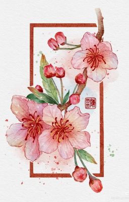 todobaku - xuân sắc vấn nhân