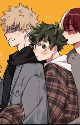 Todobakudeku x oc 