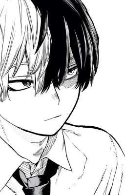 Todoroki Shoto | Mùa Hạ Năm Ấy