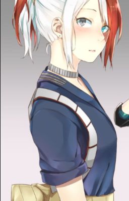 Todoroki Twin Sister 