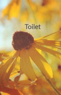 Toilet (Tamat)