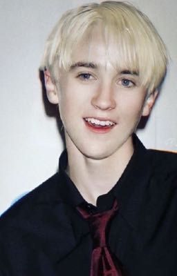 [TOM FELTON] PHIM TRƯỜNG