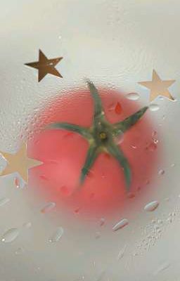 Tomato