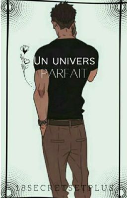 TOME 3 Un univers parfait (BXB) (One Shot)