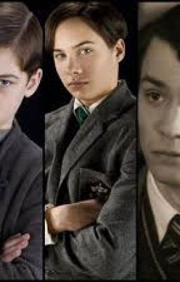 Tomriddle X Occ Bức Thư Nhỏ Gửi Em