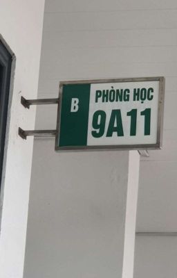 Tổng hợp 9A11 (2021-2025)