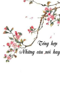 Tổng hợp câu nói hay