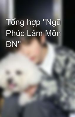 Tổng hợp ''Ngũ Phúc Lâm Môn ĐN''