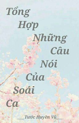 Tổng hợp những câu nói của các soái ca