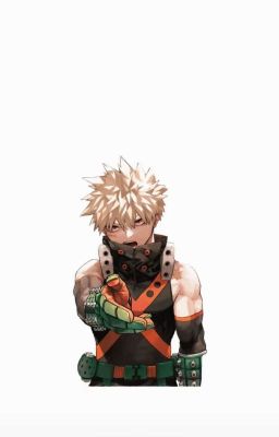 Tổng hợp Oneshot [Bakugo×reader]