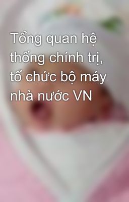 Tổng quan hệ thống chính trị, tổ chức bộ máy nhà nước VN