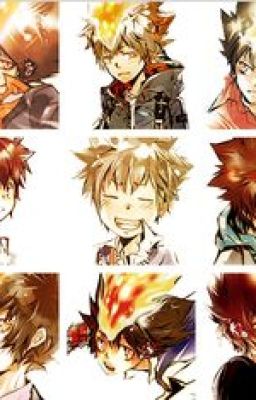 [Tống] Tsunayoshi nhặt được một quyển 