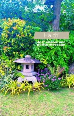 [Tổng văn án] Hạ chí