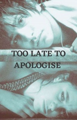 Too Late To Apologise 