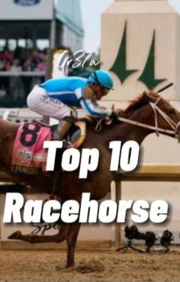 Top 10 (Racehorse)