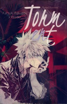 Torment [Katsuki Bakugou x reader]