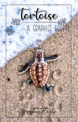 tortoise || a graphics shoppe