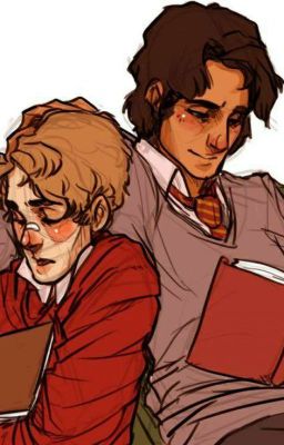 Touch Starved (Wolfstar, Jegulus & Drarry) {Complete}