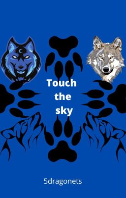 Touch the Sky